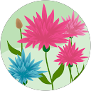 Fanny Catrouillet profile picture